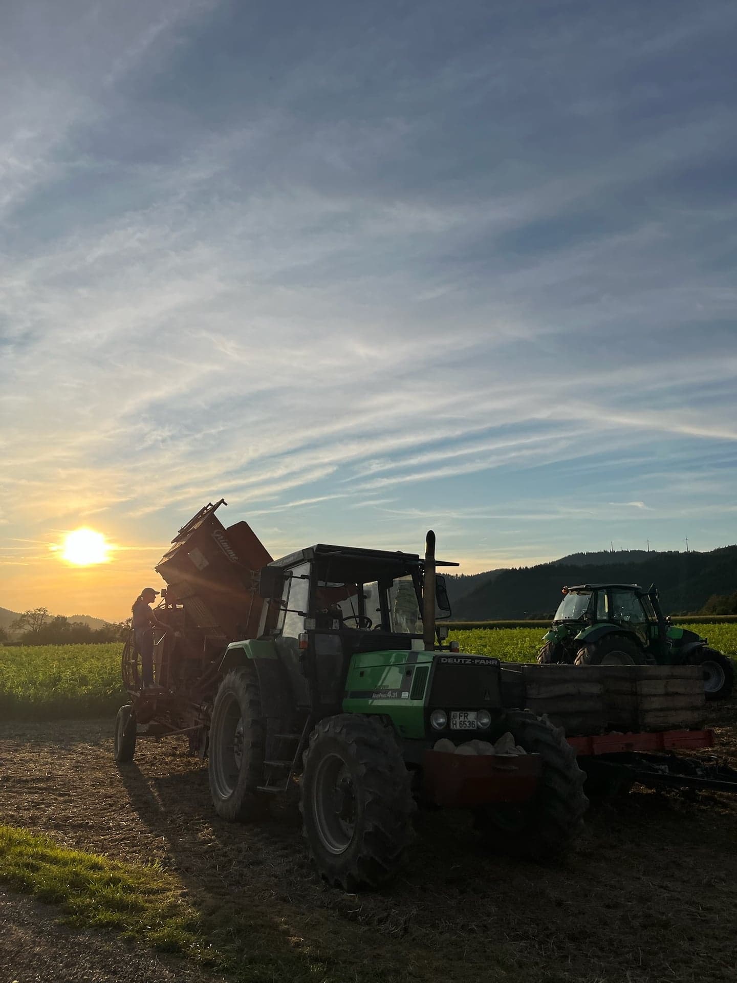 Kartoffelernte bei Sonnenuntergang im Dreisamtal: der alte Deutz und der Roder als Silhouette, ein Helfer auf der Maschine, dahinter ein zweiter Traktor und die Berge