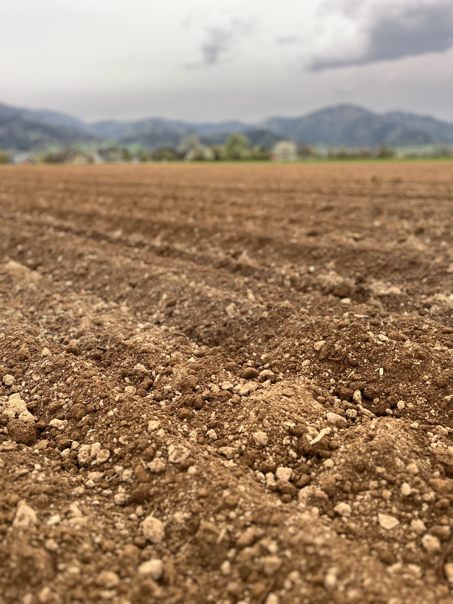 Heuballen auf dem Feld