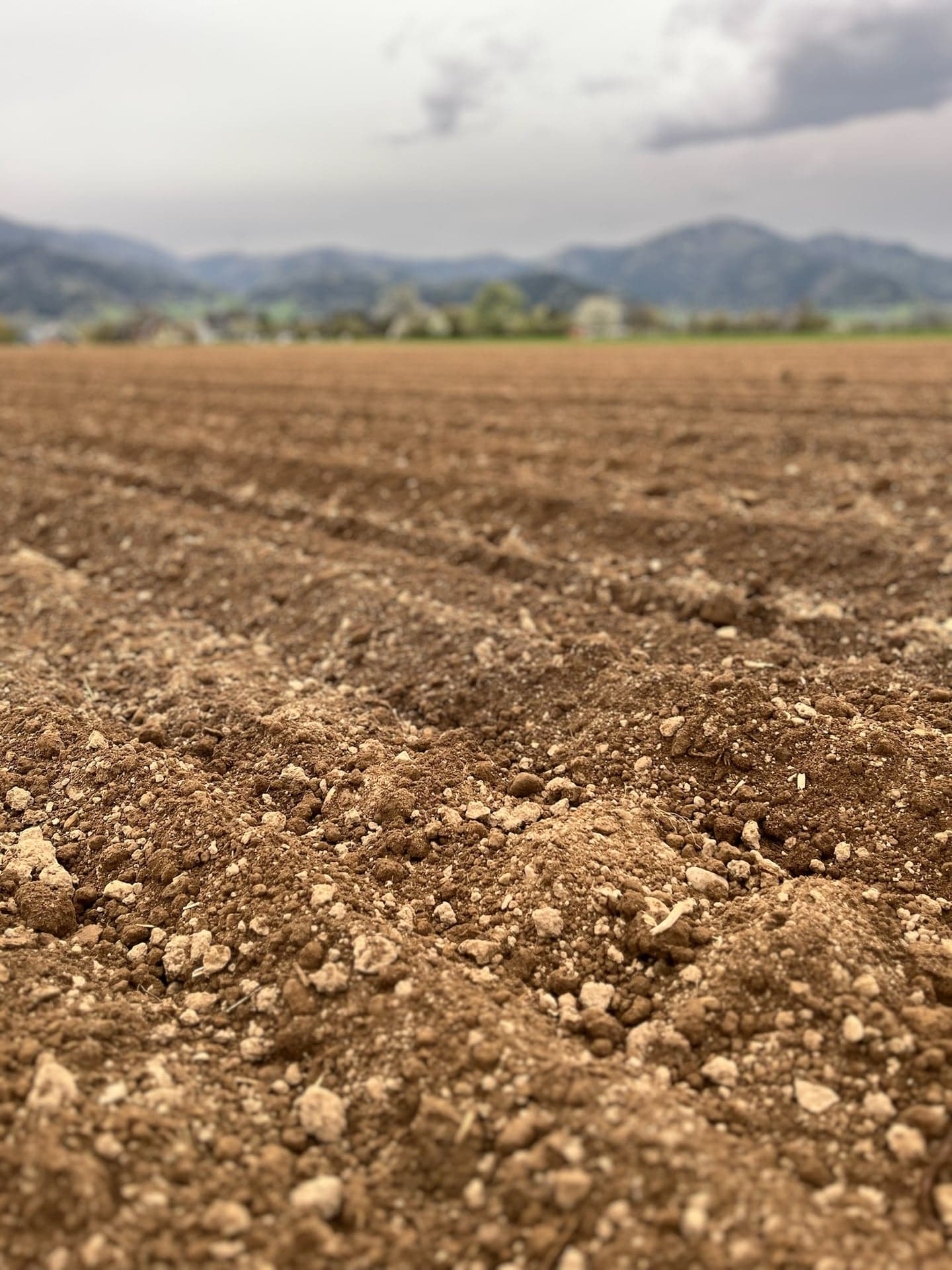 Heuballen auf dem Feld