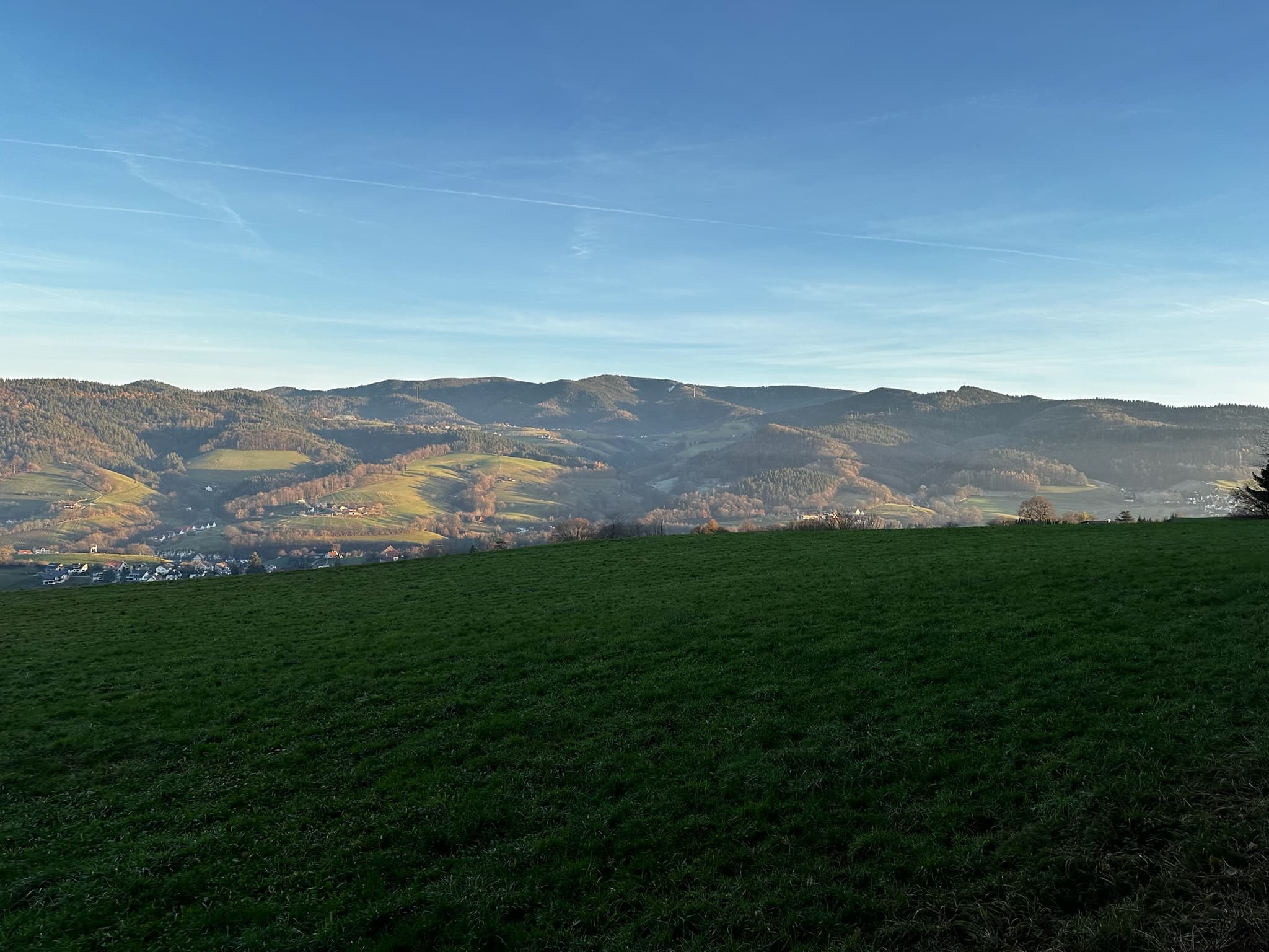 Weites Bergpanorama mit grünen Wiesen