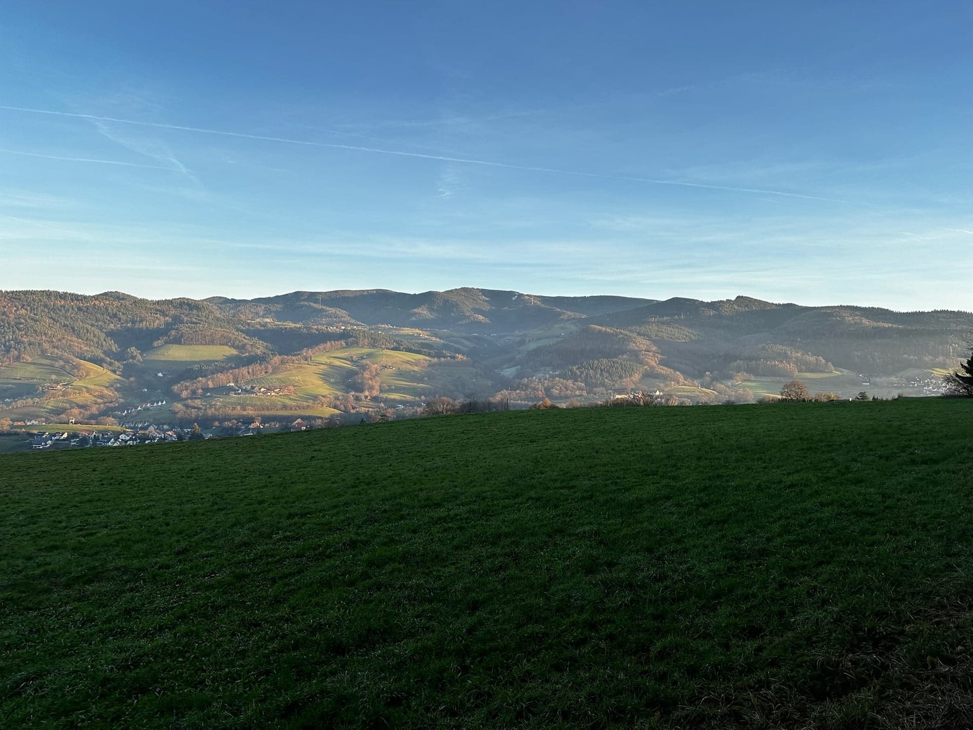 Weites Bergpanorama mit grünen Wiesen