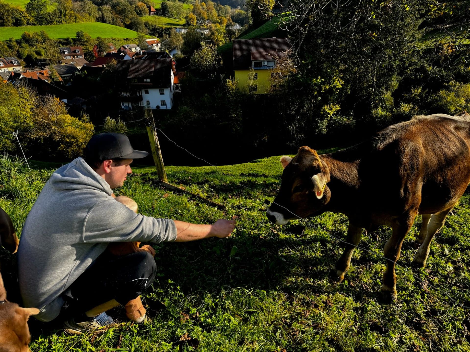 Oli hockt im Abendlicht auf der Weide über Au und hält einem Kalb die Hand hin
